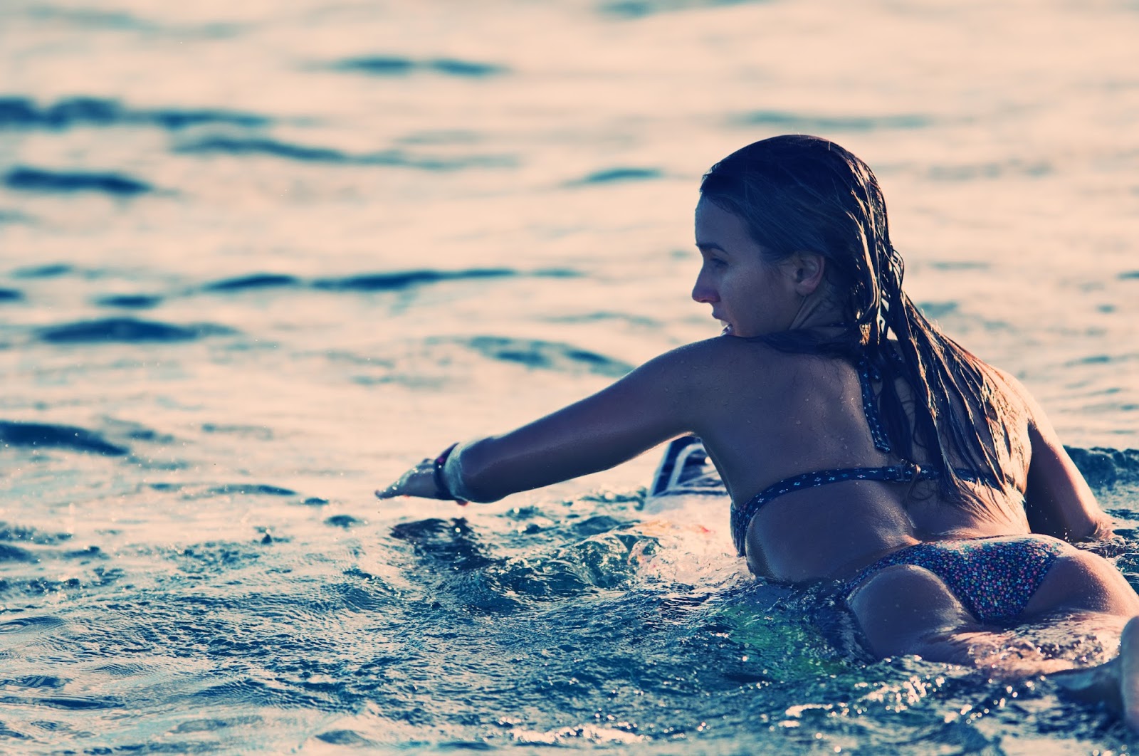 Sally fitzgibbons sexy