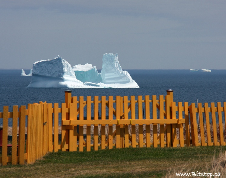 Bitstop Ochre Pit Cove & Western Bay