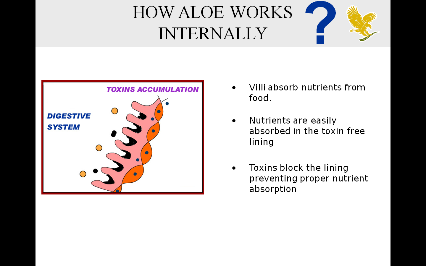 FOREVER LIVING PRODUCTS HOW ALOE WORKS INTERNALLY