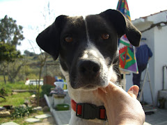 Uma Estrela no Céu - Over the Rainbow Bridge