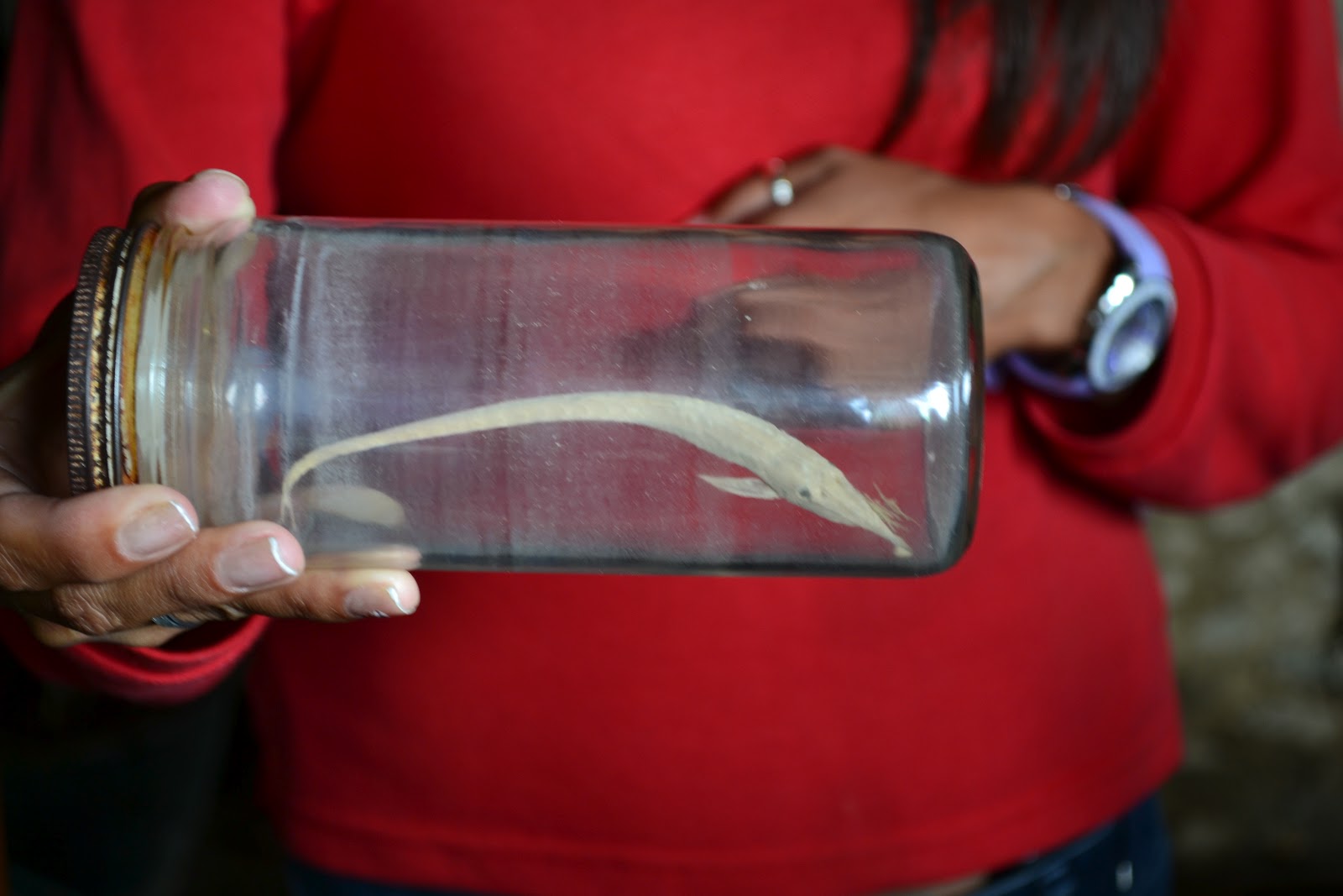 average photos of cool places Quito