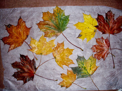 how to wax leaves, leaf waxing