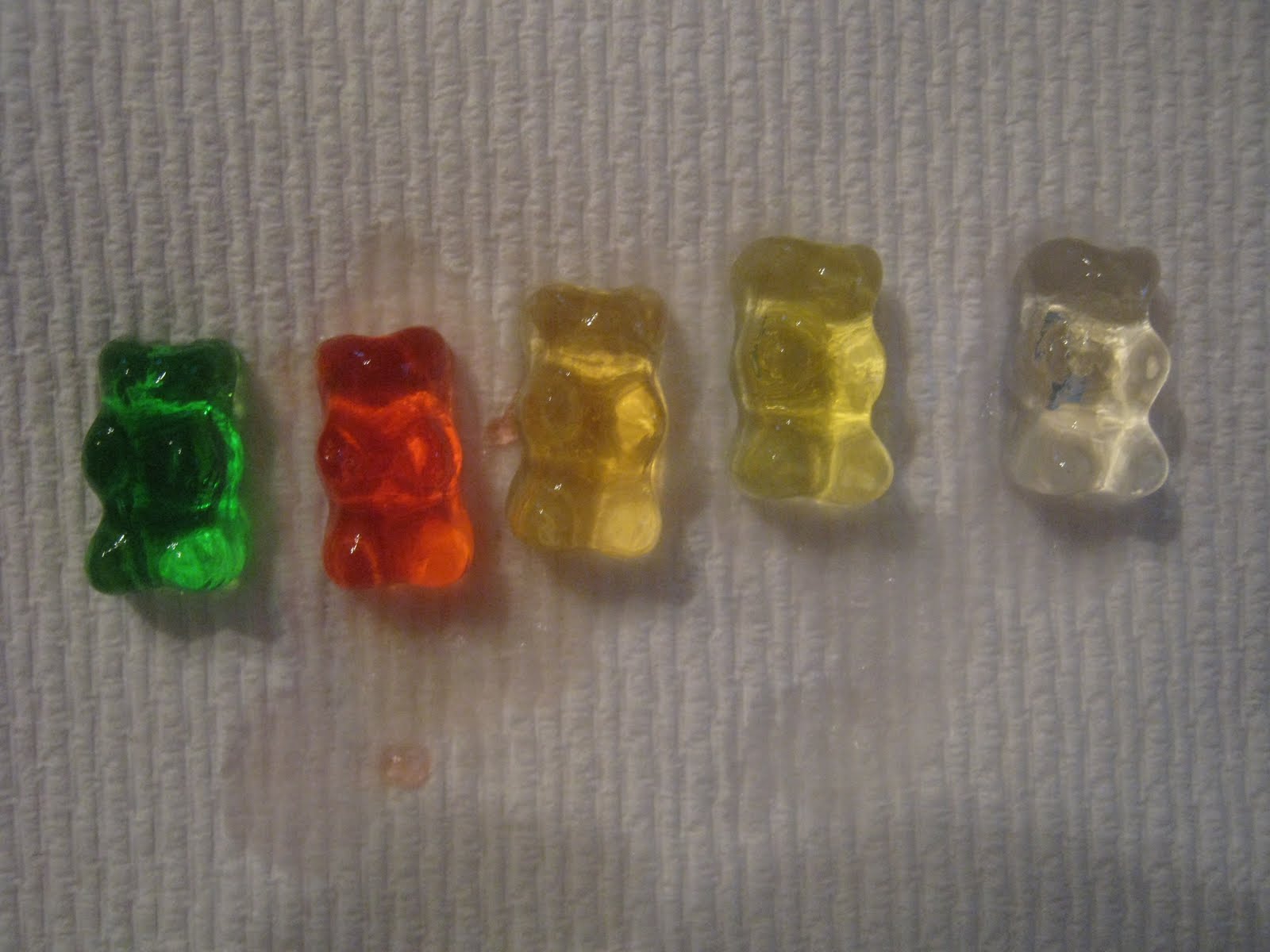 Science for Kids Experiment 1 Growing Gummy Bears