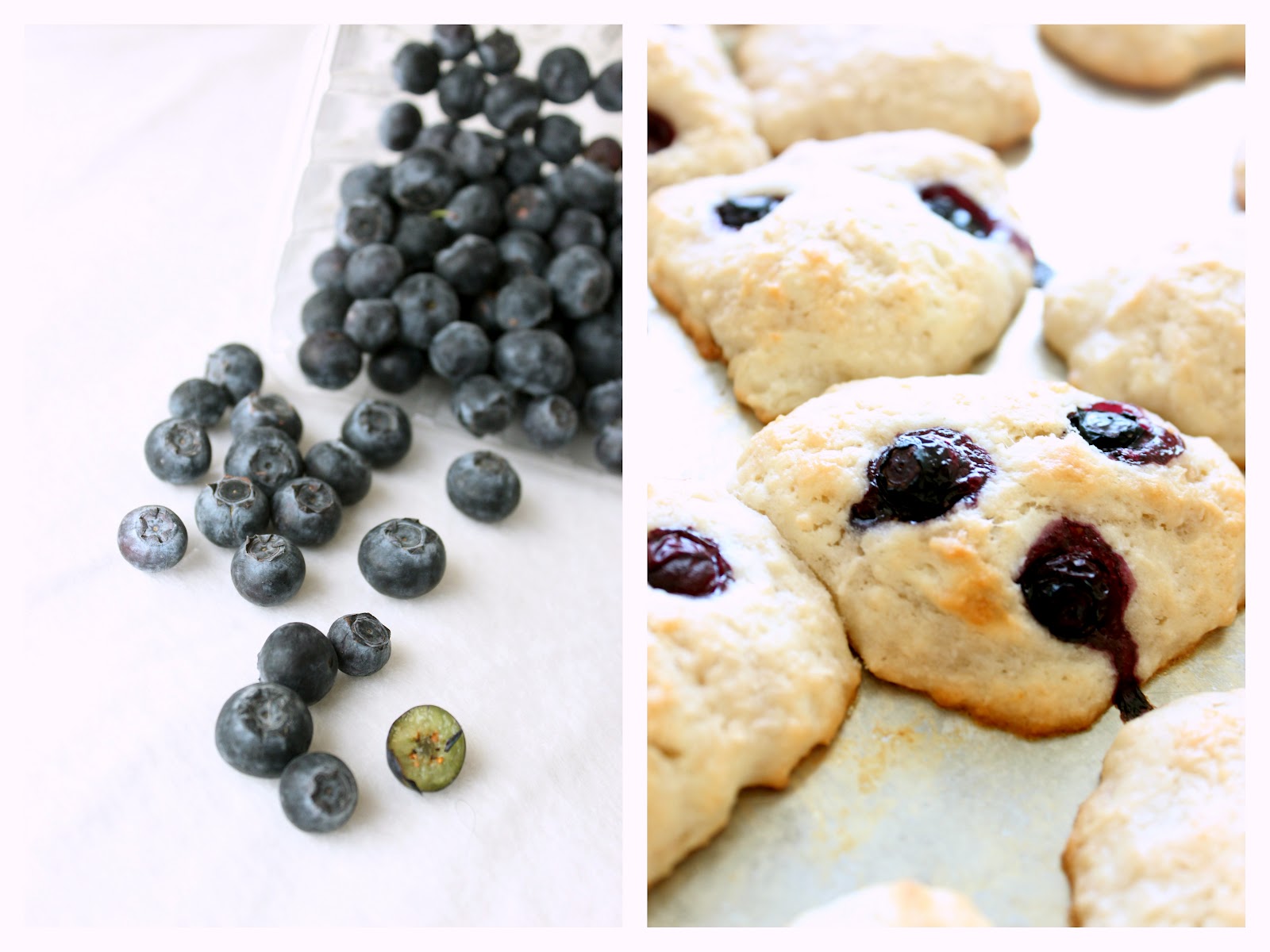 Magpie's Recipes blueberry coconut vegan scones no butter, no eggs