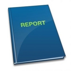 How should be a project report