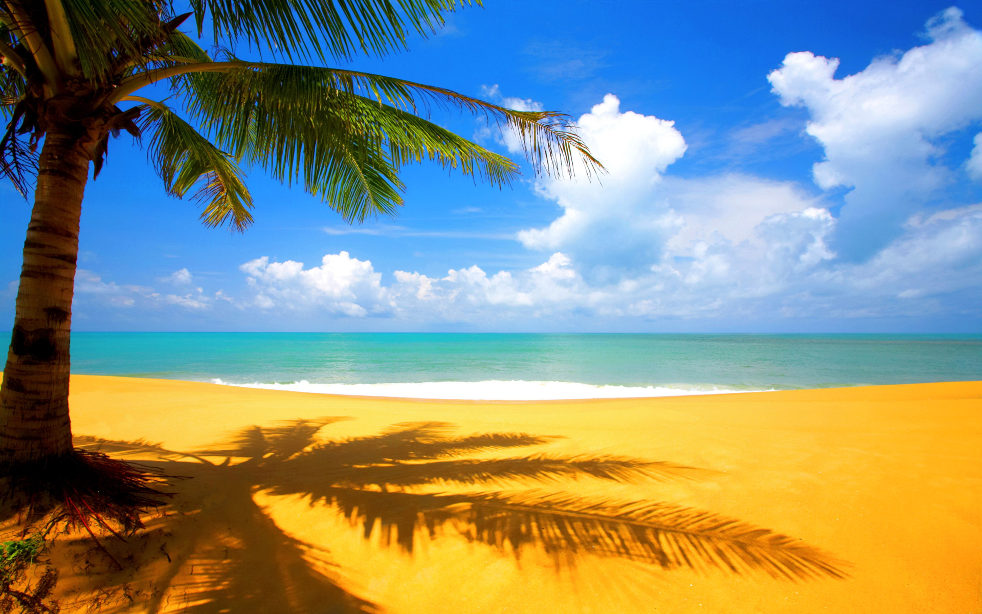 http://1.bp.blogspot.com/-1QaoBoK-xio/T_pf58PuRqI/AAAAAAAAIoY/L2FYs-AxIF0/s4000/high+definition+hd+wallpaper+(14).jpg