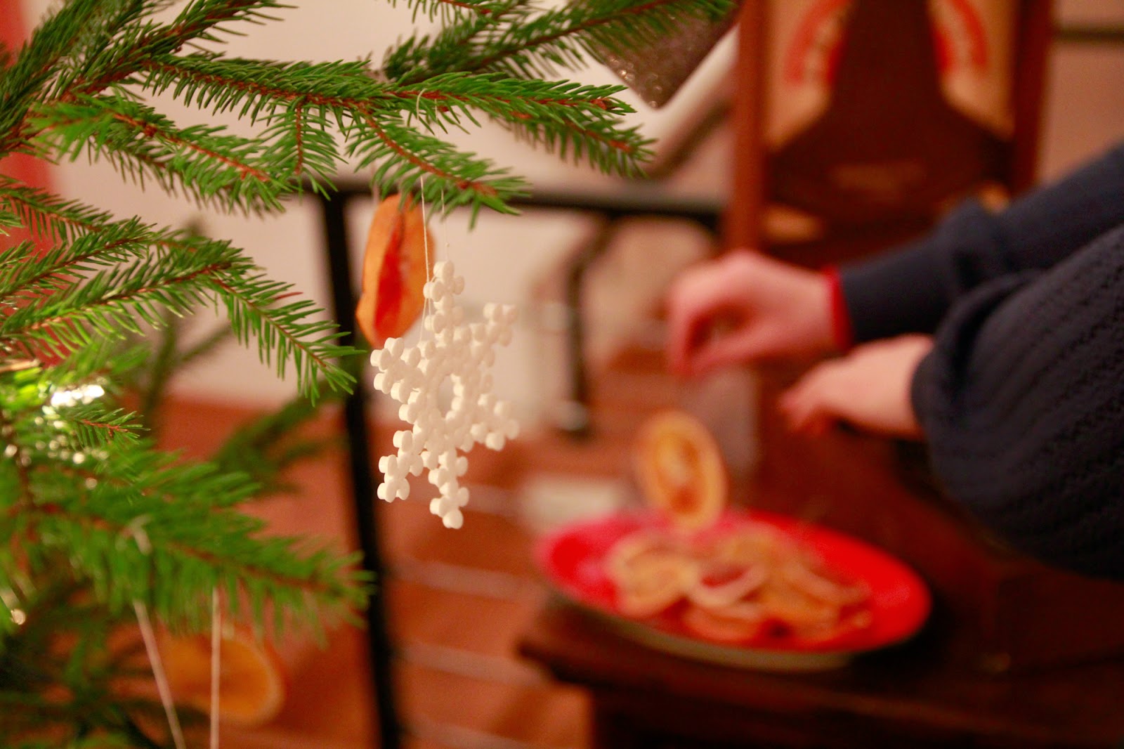 Gwiazdka w Puszczy - Ania w Podróży