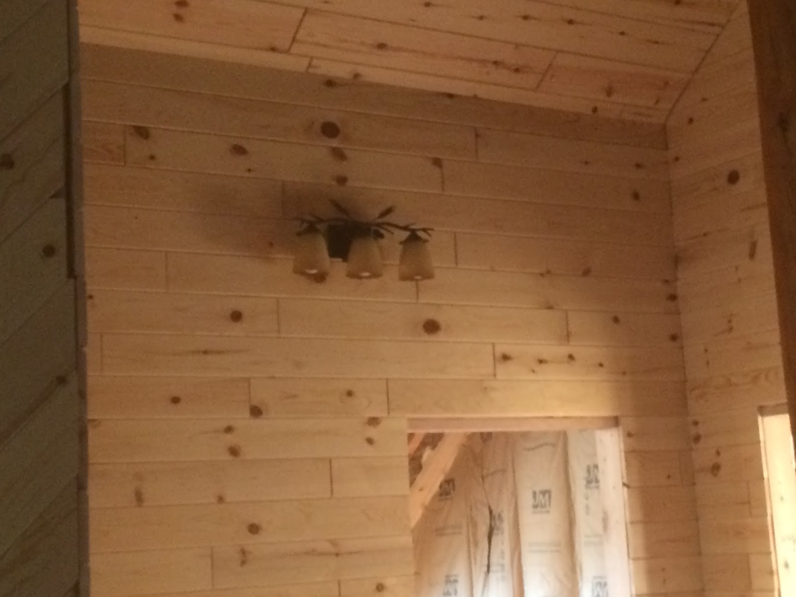 Anderson Log Cabin Fever Log Home Building June 17 2015 Ceiling