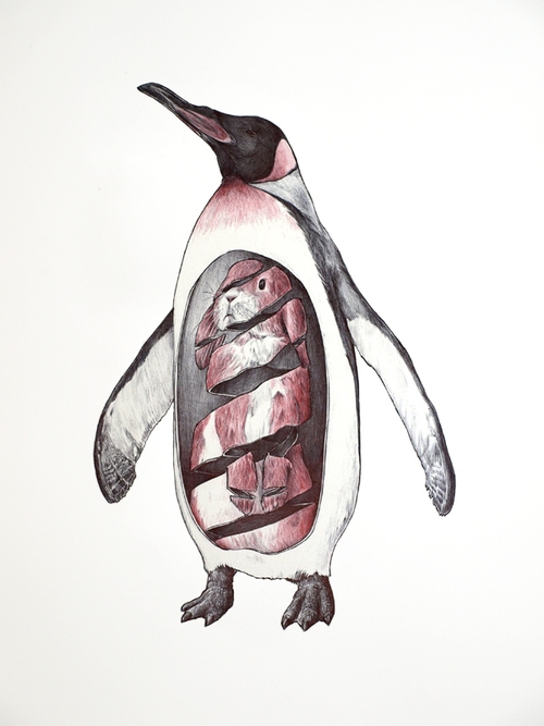 07-Penguin-and-Rabbit-Jaume-Montserrat-Illustrations-of-Ribbon-Animals-in-Emptyland-www-designstack-co