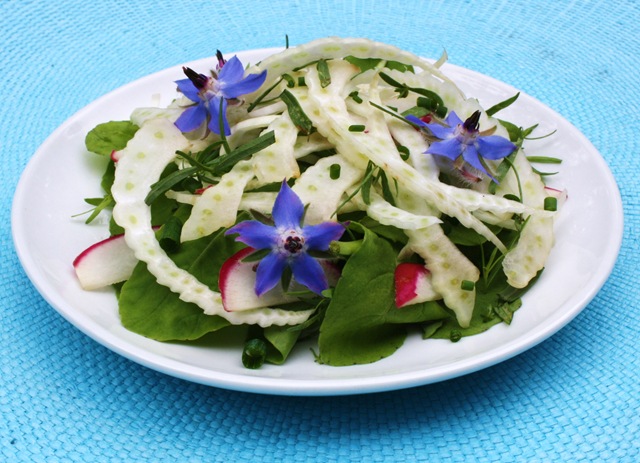 Lavender Garden Cottage: September 2011