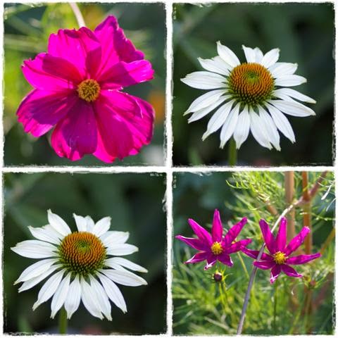 Freude Am Garten Gartentagebuch Blick In Den Garten Und Warten