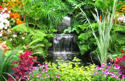 tropical garden design with a small pool