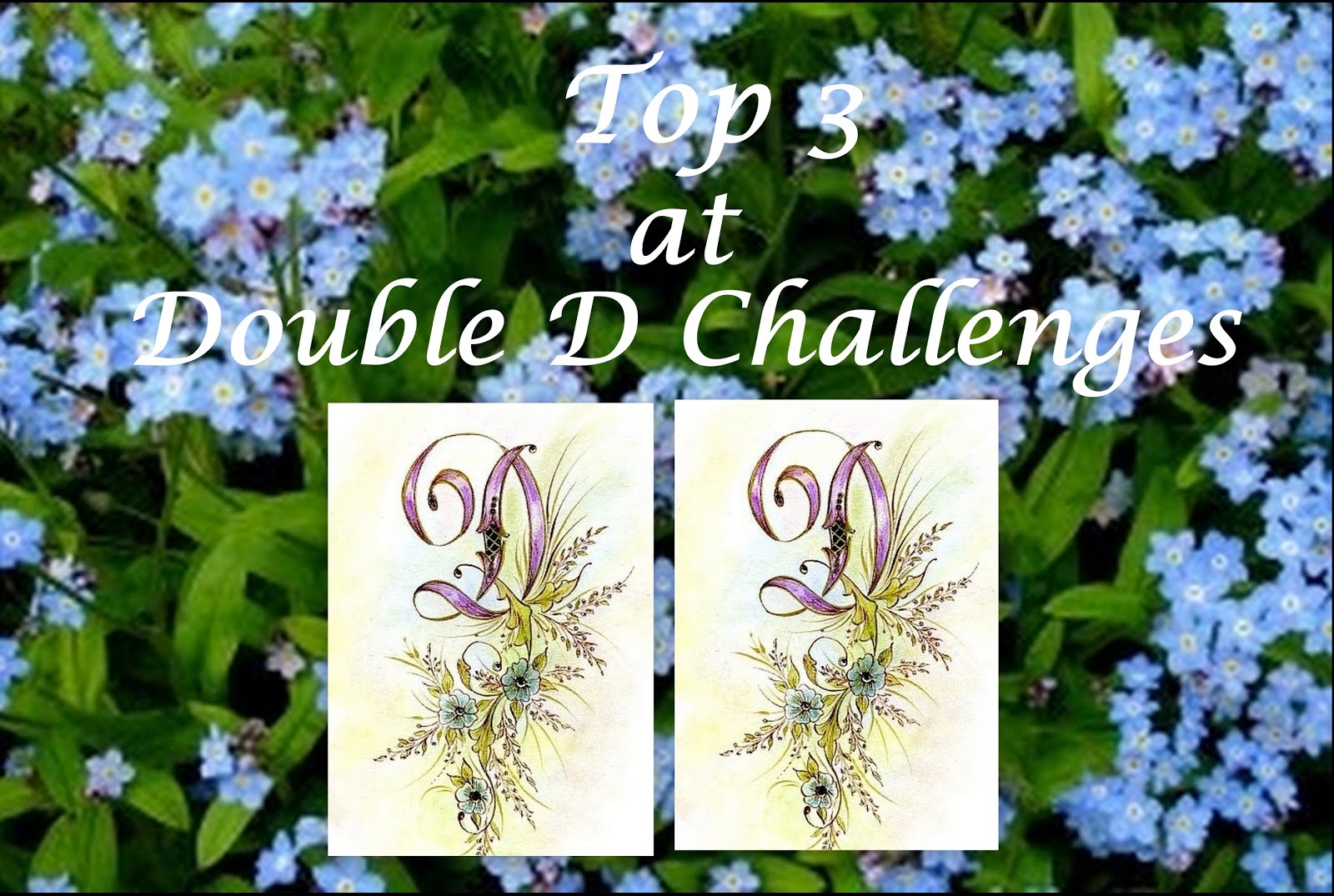 Double D Challenge Top 3