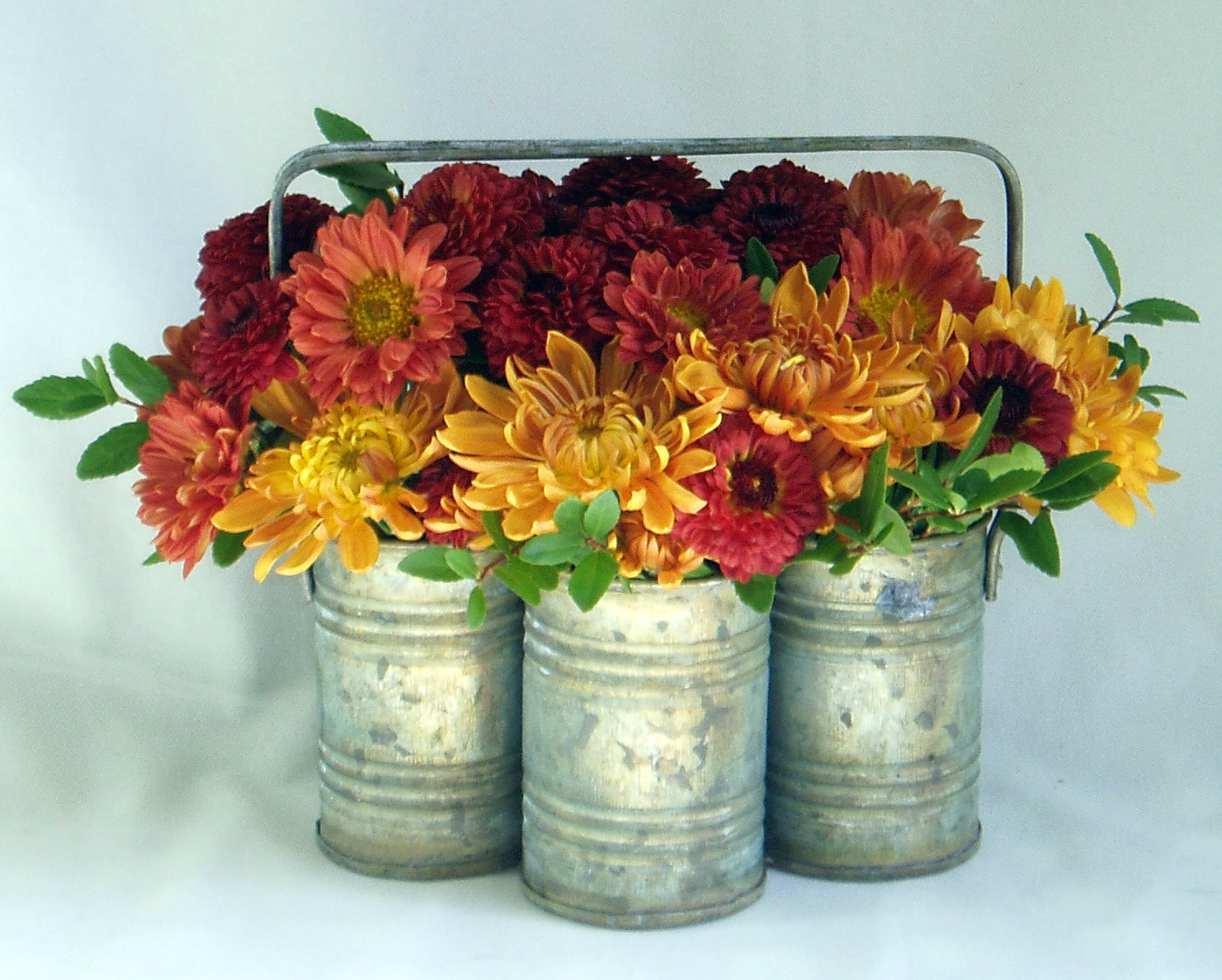 Artistry in Bloom's Blog Fabulous Fall Flowers in Victoria BC by