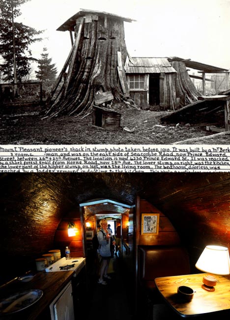 stump home stump home