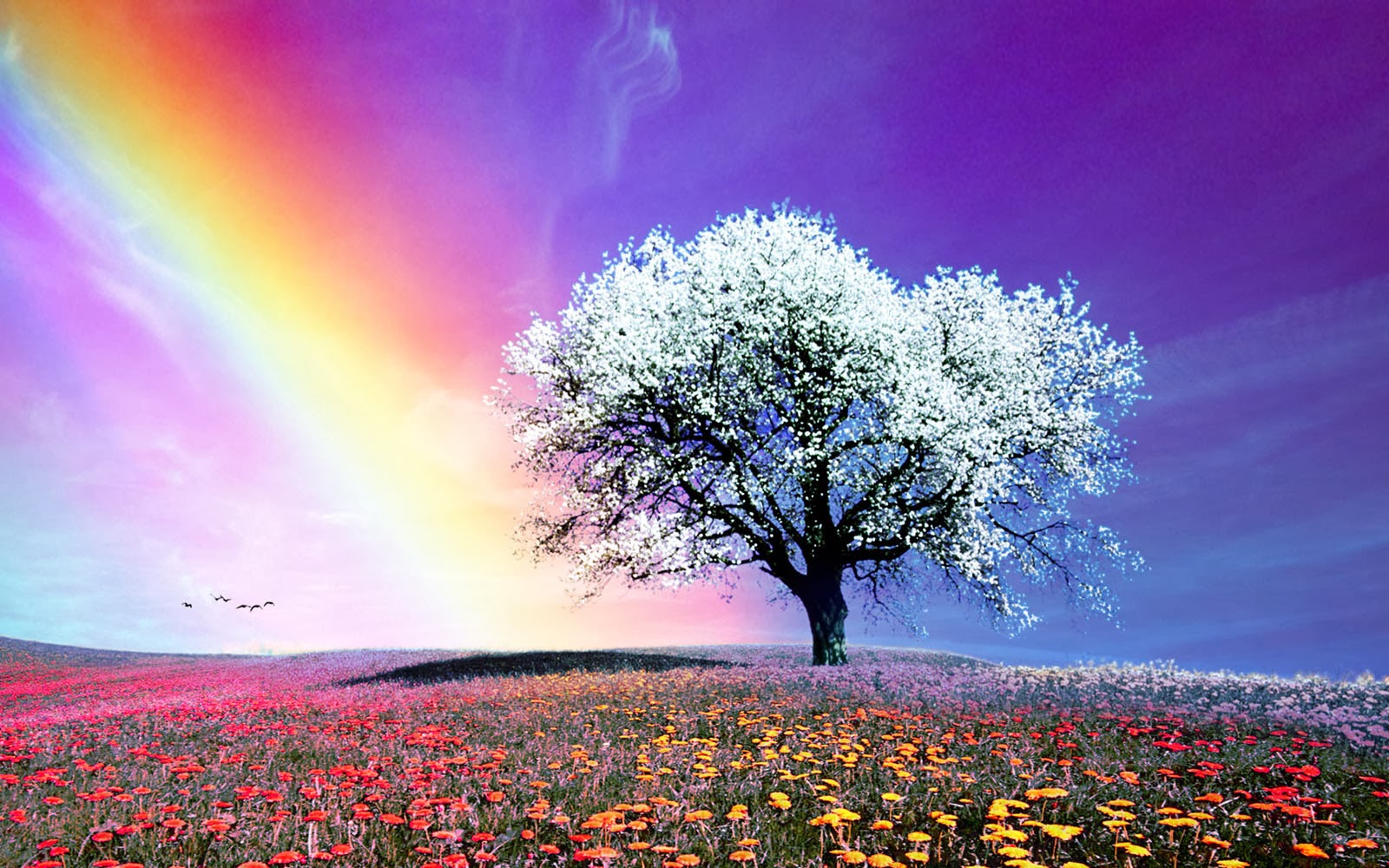 for desktop wallpapers white tree wallpapers for desktop wallpapers white tree wallpapers