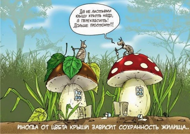 Прикольный стих про грибника Прикольный стих про грибника