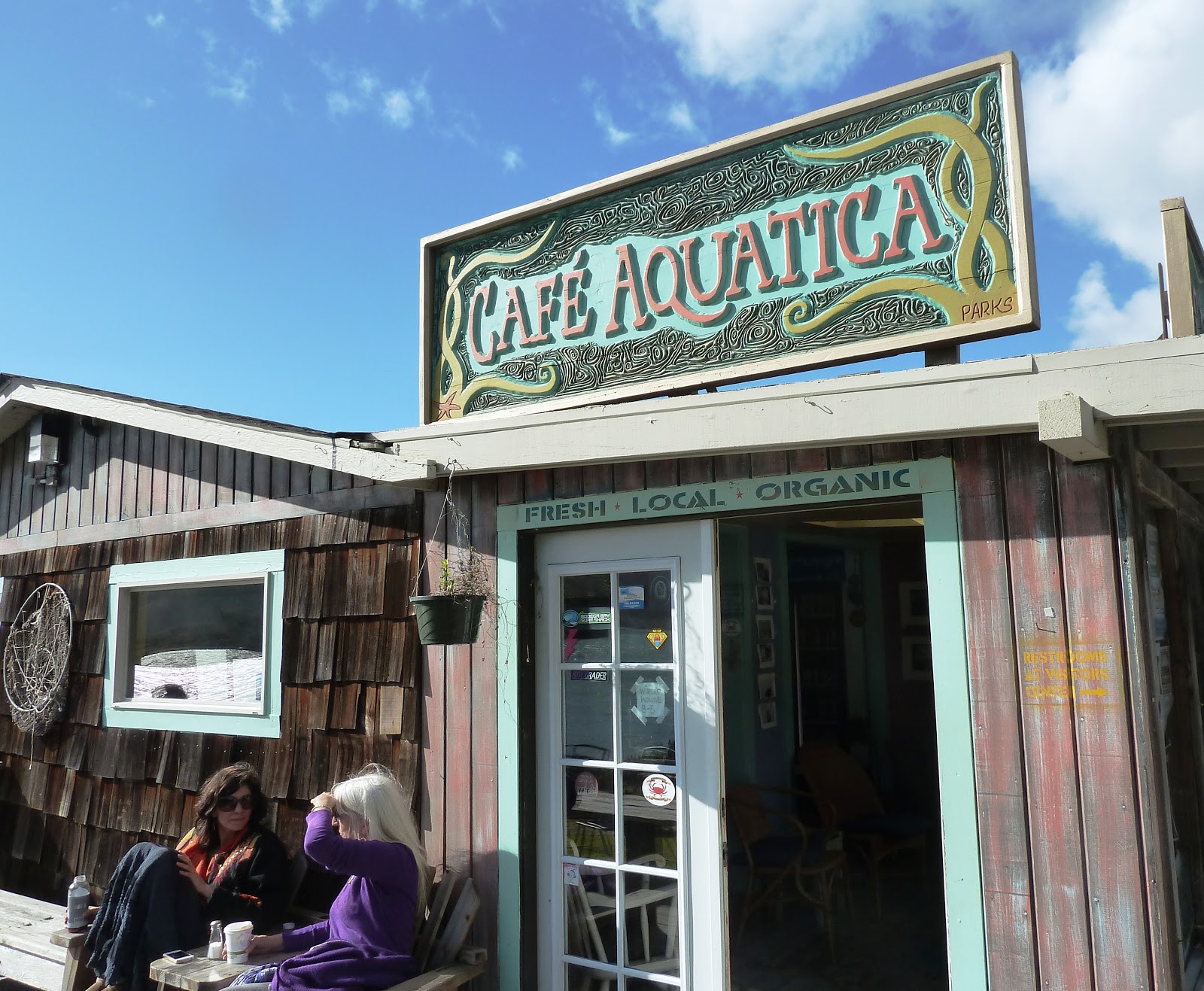 NORCAL YAK Kayaking along the coast with a bird'seye view