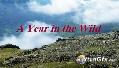 A Year in the Wild-HD