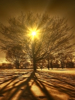 coucher   de  soleil   somptueux  !