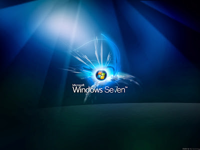 Windows 7 Professional 