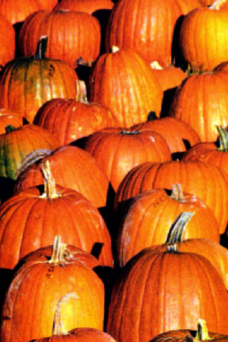 iphone wallpaper background