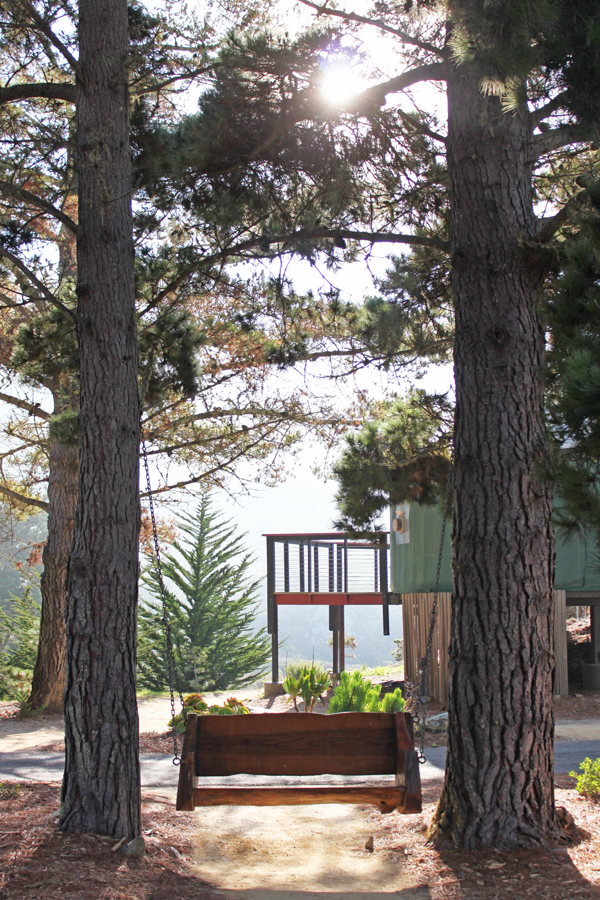 Tree swing at Treebones, Big Sur