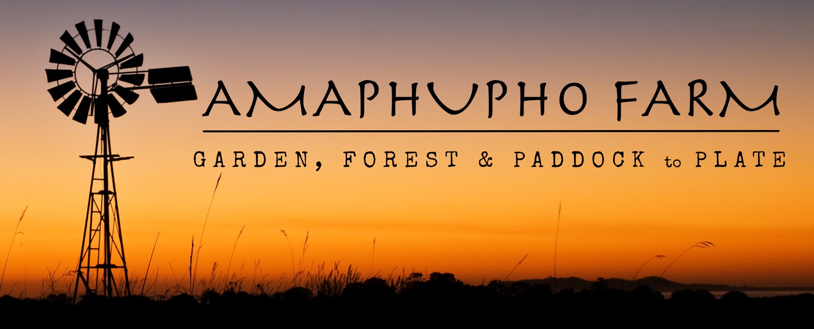 Amaphupho - Garden, Forest &amp; Paddock to Plate 