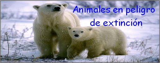 Animales en peligro de extinción