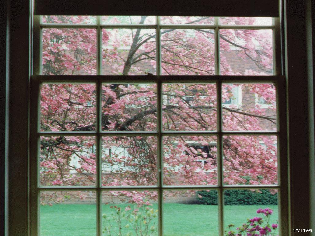 New Home Design Nice Design In The Window Performances