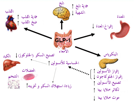 الطب النبوي