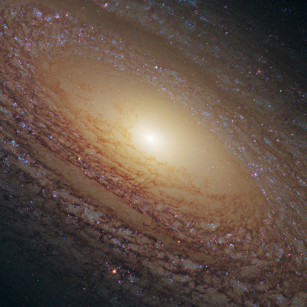 Hubble shoots Spiral NGC 2841 with the new Wide Field Camera 3
