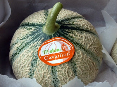 melon cavaillon melons france french