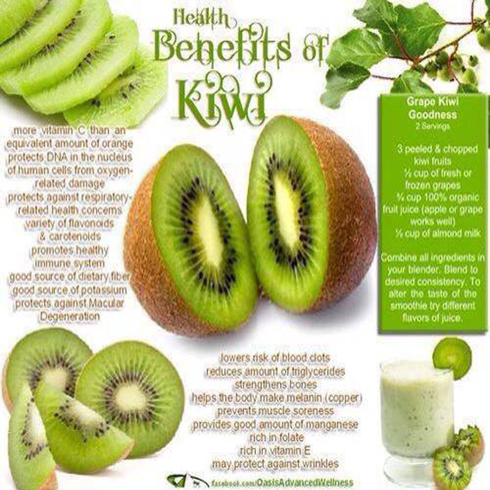 The Natural Health Page Health Benefits of the Kiwi