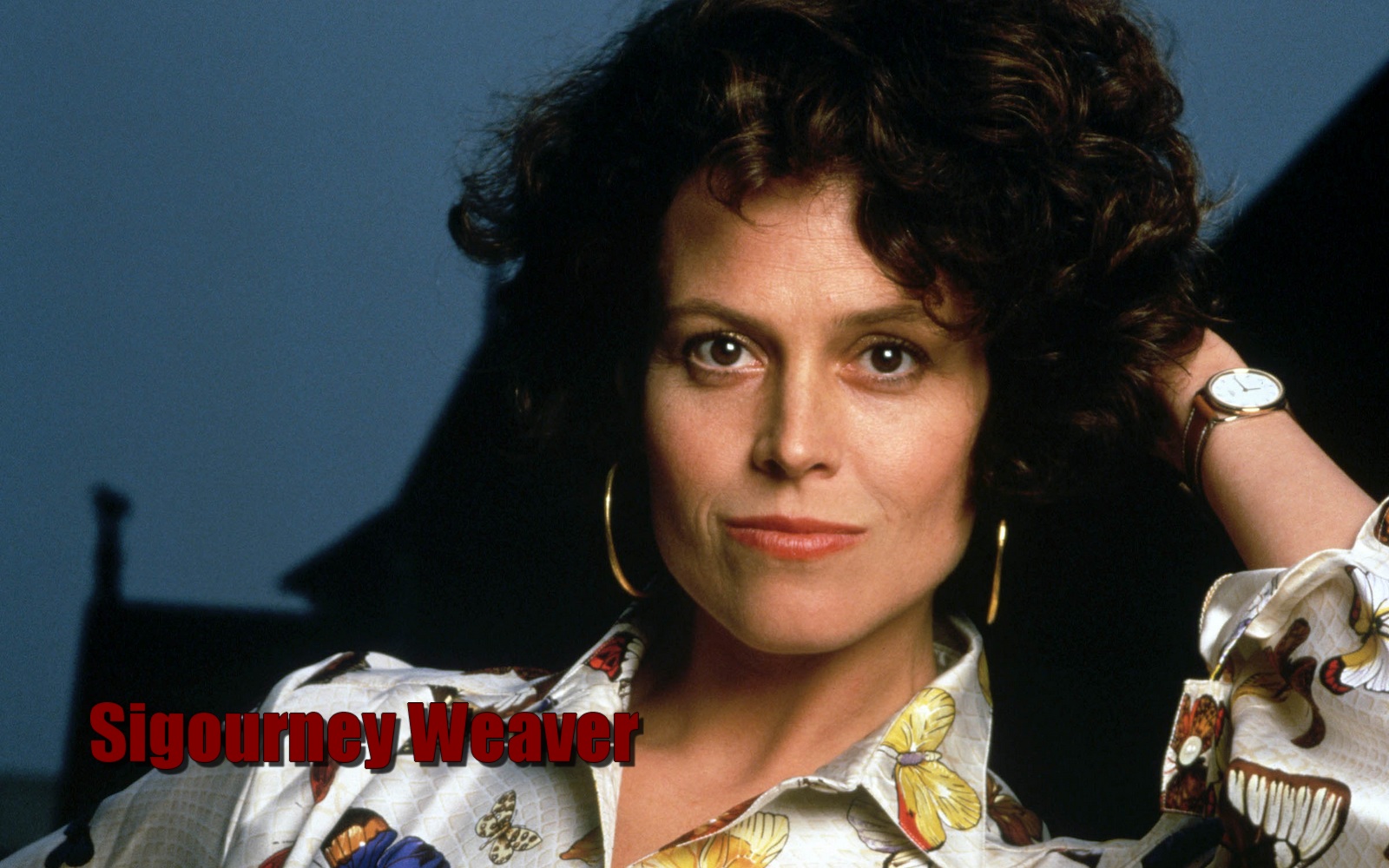 http://1.bp.blogspot.com/-1Y_Wc-vzMHY/UEnDZFuFcwI/AAAAAAAF_9E/AaZ_nMPZ7GQ/s1600/Sigourney%2BWeaver%2BWallpaper%2B12.jpg