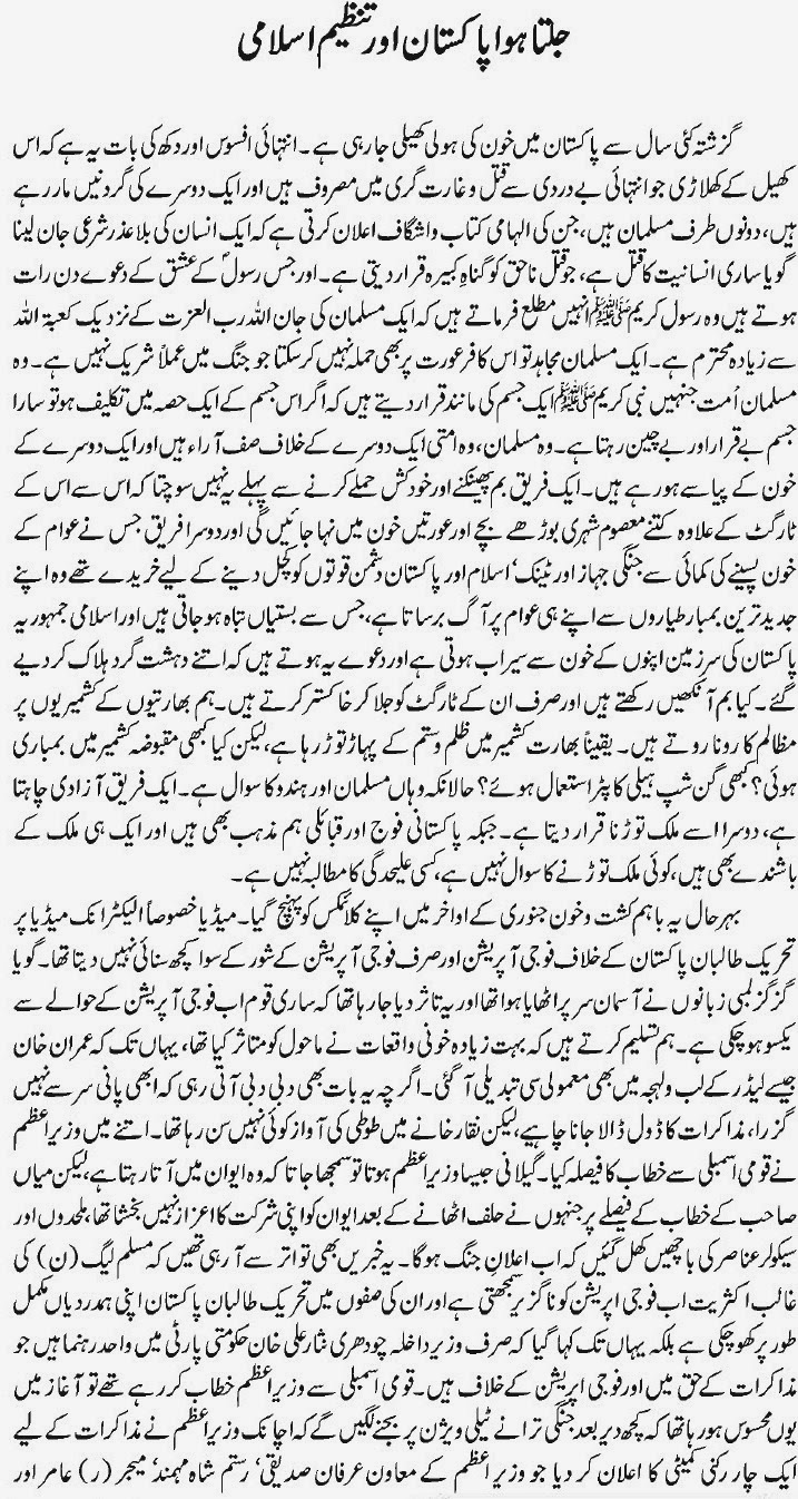 NidaeKhilafat Urdu Burning Pakistan And TanzeemeIslami By Ayub
