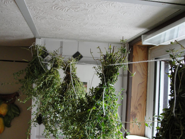hanging herb bundles