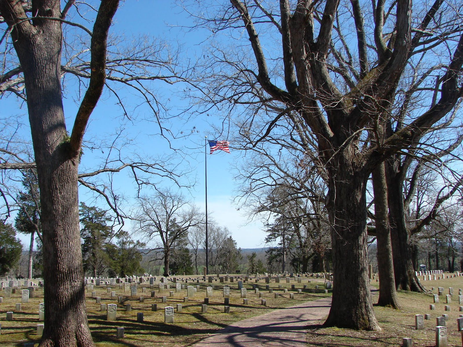 Our Country's Fiery Ordeal Shiloh First Impressions and the National