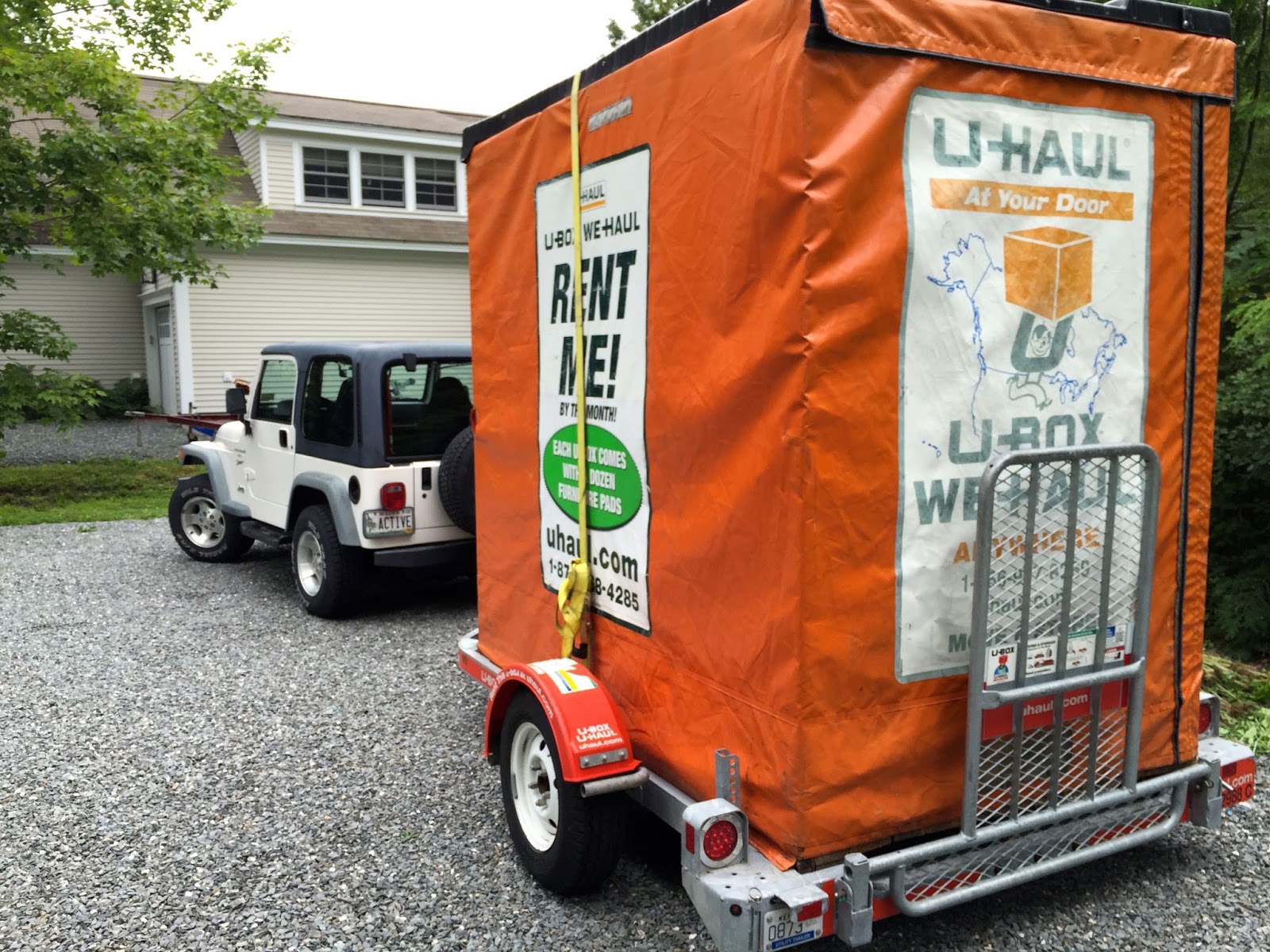 TakingPaws July 2015