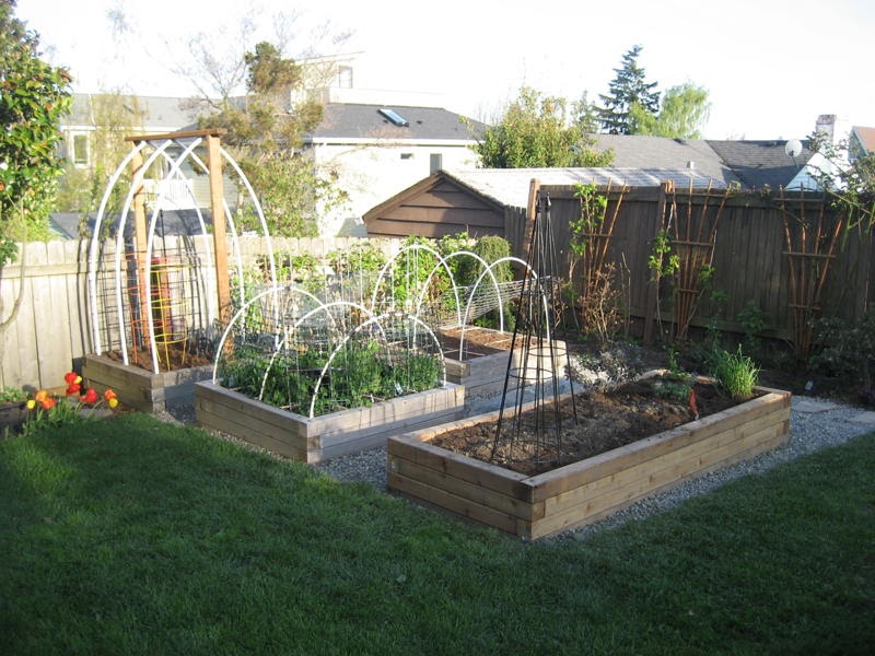 Price Family Farms Spring has sprung.