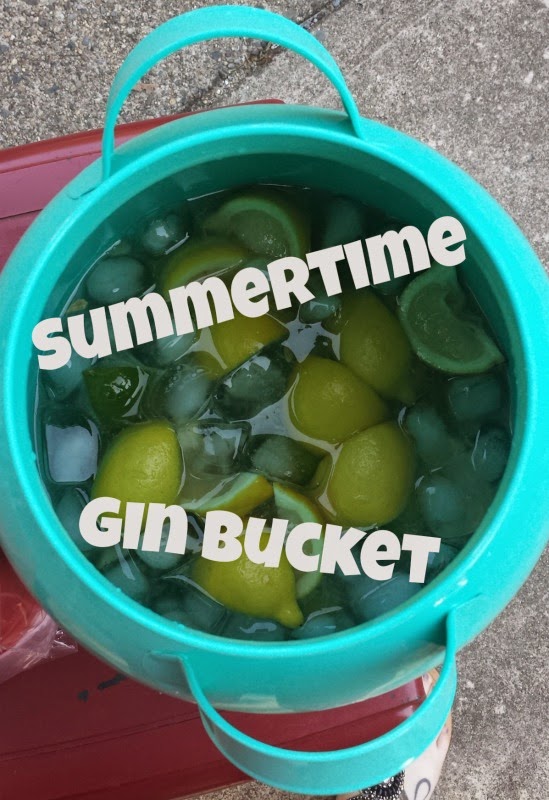borrowed heaven Summertime Gin Bucket