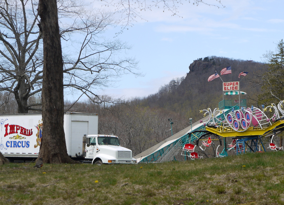 Along the NETCohos Daffodils at Hubbard Park, Meriden