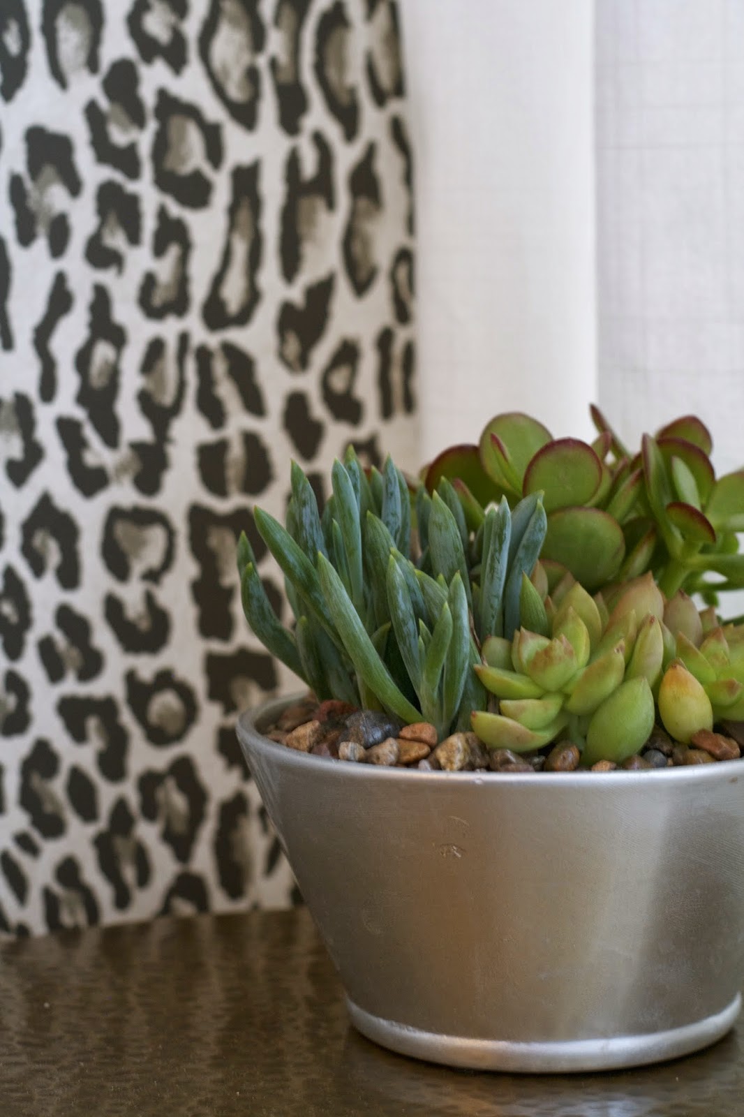 design dump leopard wallpapered bathroom (one week makeover reveal)