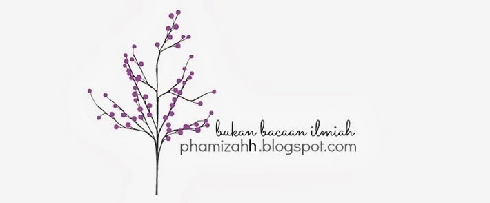 phamizahh blog