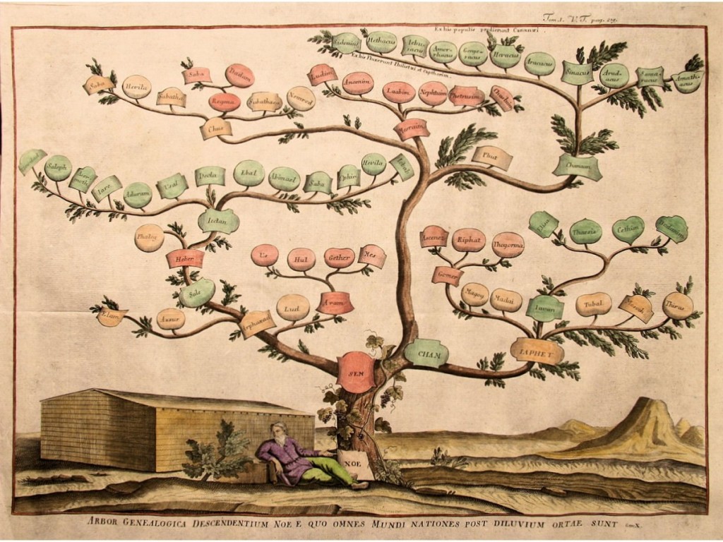 Tiziana Romanin I nuovi laboratori 2/4 Io, ramo, albero/Les nouveaux Tiziana Romanin I nuovi laboratori 2/4 Io, ramo, albero/Les nouveaux