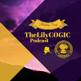TheLilyCogicPodcast