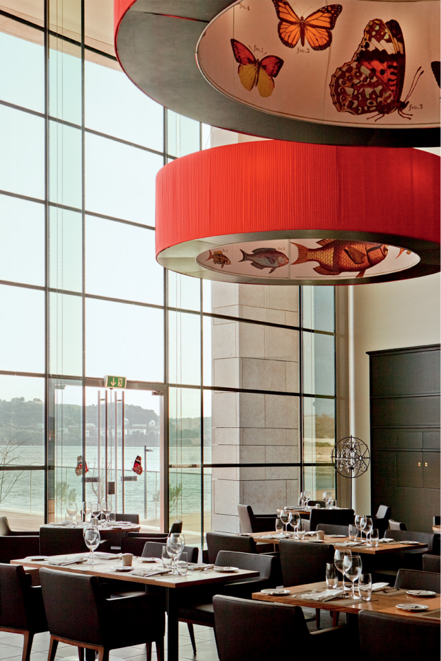 laostudio Darwin´s café