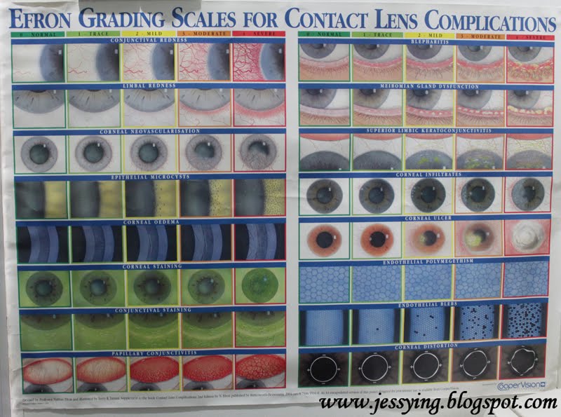 eye color chart with names eye color determination chart google