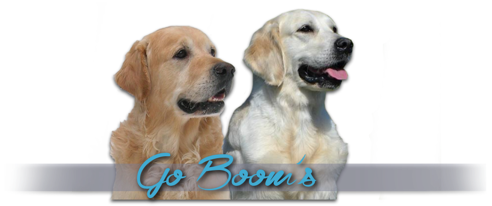Kennel Go Boom's