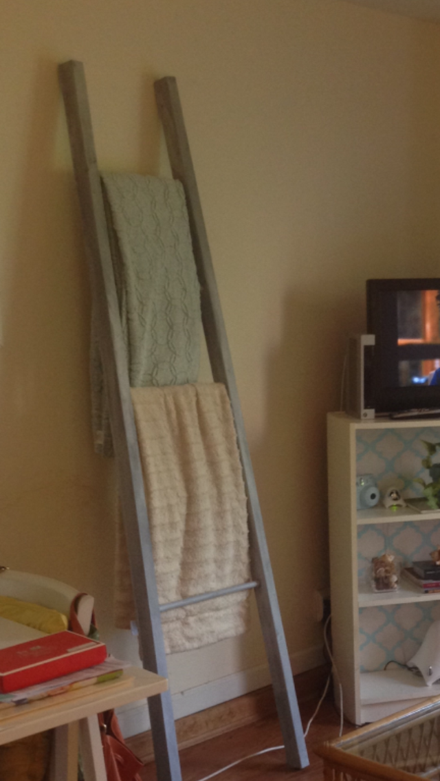 The Daily Wink DIY Decorative Ladder